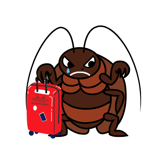 Home Robard's Pest Control